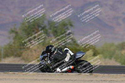 media/Nov-12-2023-SoCal Trackdays (Sun) [[5d1fba4e7d]]/Turn 3 Inside Speed Pans (135pm)/